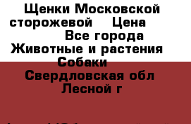 Щенки Московской сторожевой  › Цена ­ 25 000 - Все города Животные и растения » Собаки   . Свердловская обл.,Лесной г.